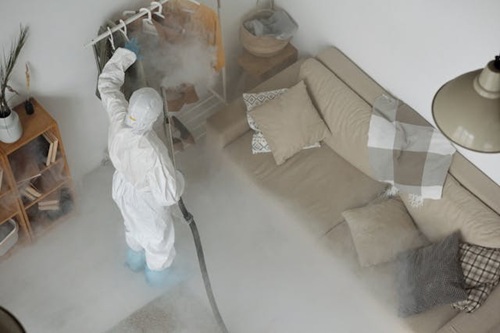 mujer fumigando controldeplagaschinches controldebichos