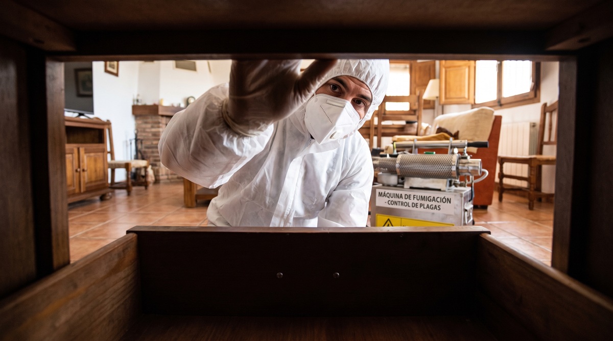 Técnico profesional de control de plagas en Madrid