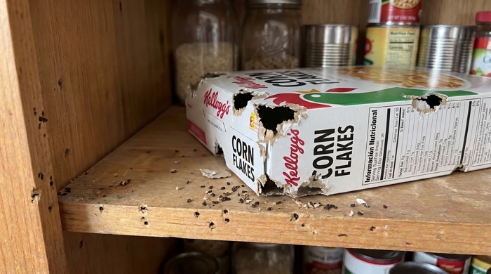 Caja de cereal mordida