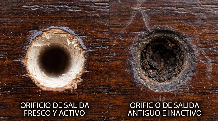Comparacion de orificios