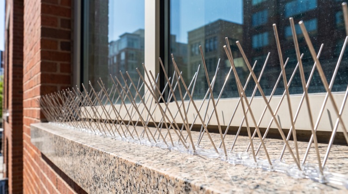 Pinchos anti palomas